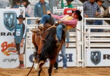 Commission set for the Camp Verde Equestrian Center