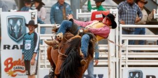 Commission set for the Camp Verde Equestrian Center