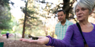 Birders bond over banding