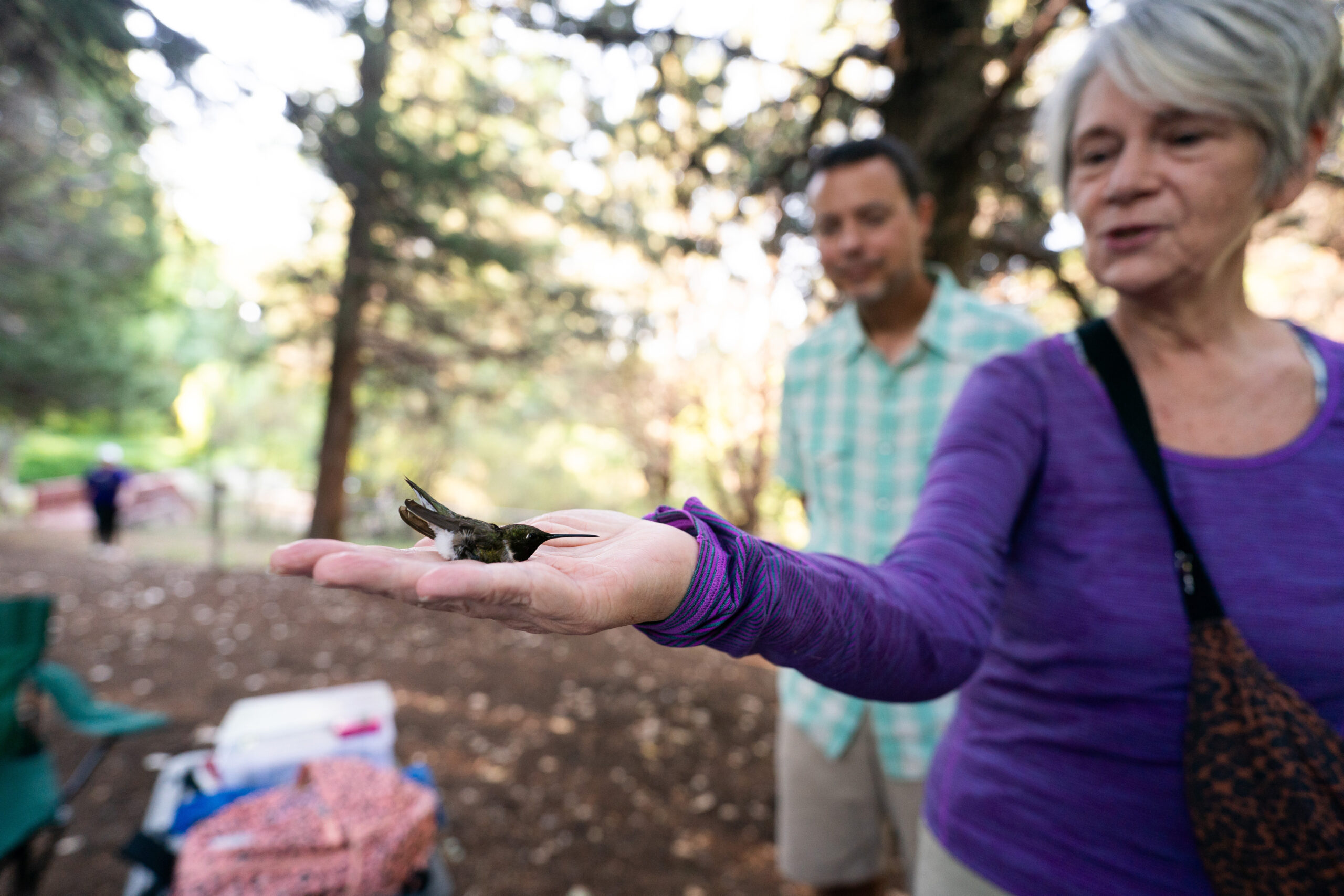 Birders bond over banding