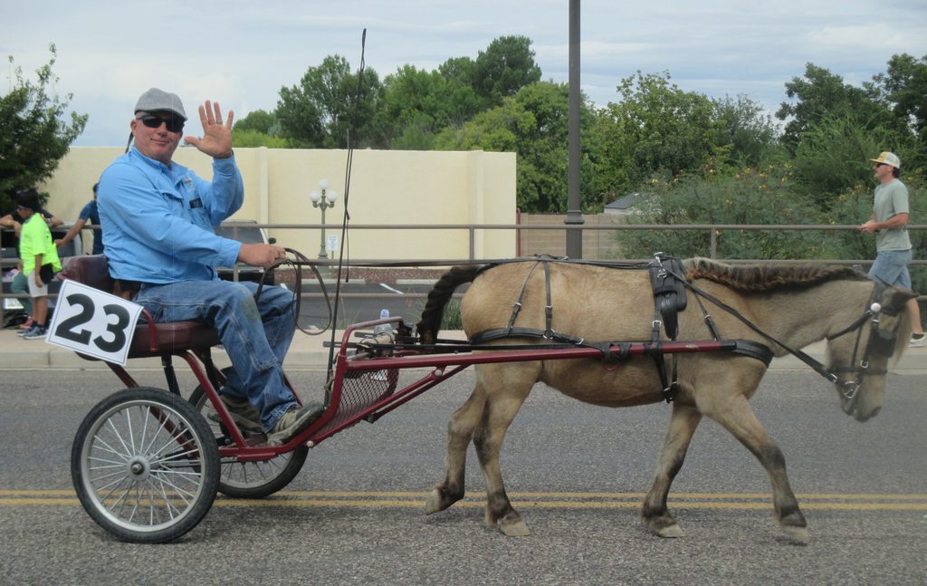 Brett Thomas waves to the crowd from a cart pulled by Easy the miniature horse at the 70th Annual Fort Verde Parade on Saturday, Oct. 10, 2026.